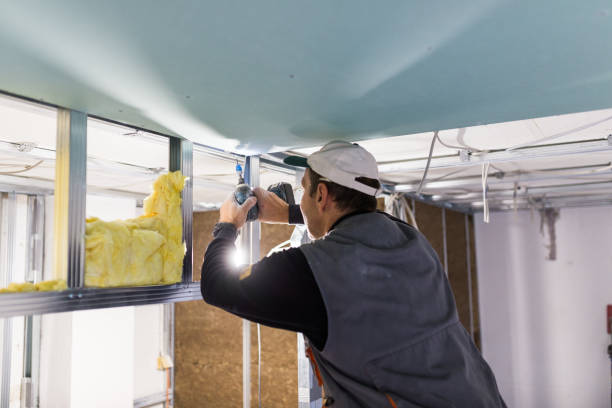 Best Pipe and Duct Insulation  in Citrus City, TX