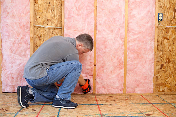 Best Spray Foam Insulation  in Citrus City, TX