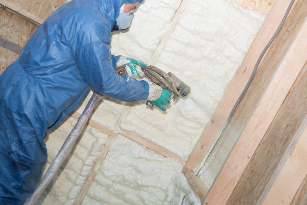 Best Attic Insulation Installation  in Citrus City, TX